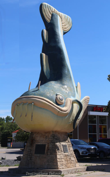 Chuck the Catfish